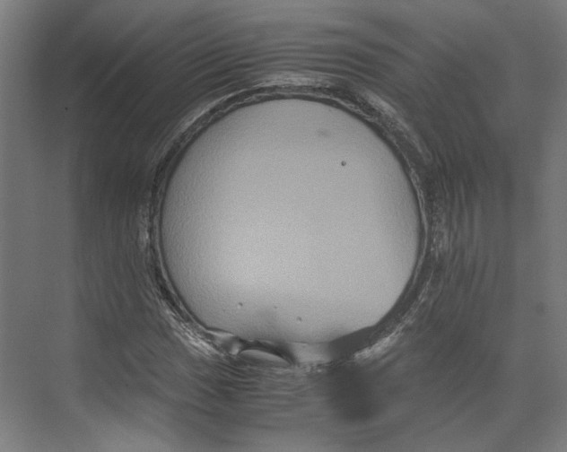 X0000071901017200608041337