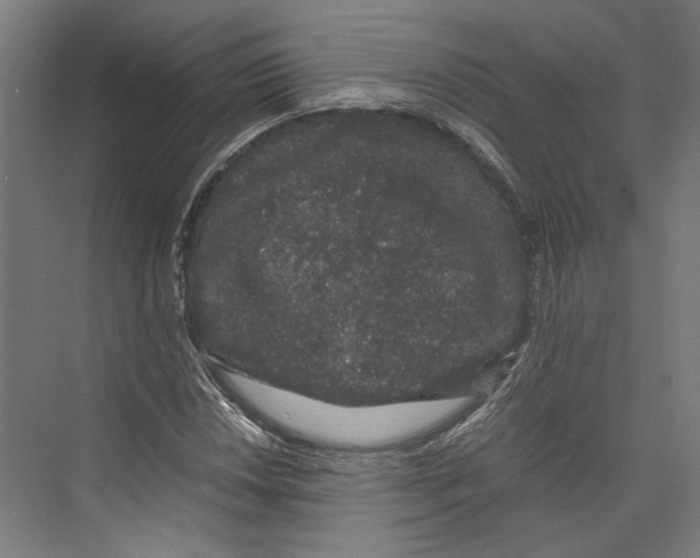 X0000071901018200608041337