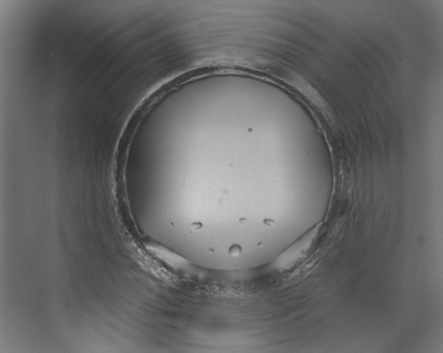 X0000071901020200608041337