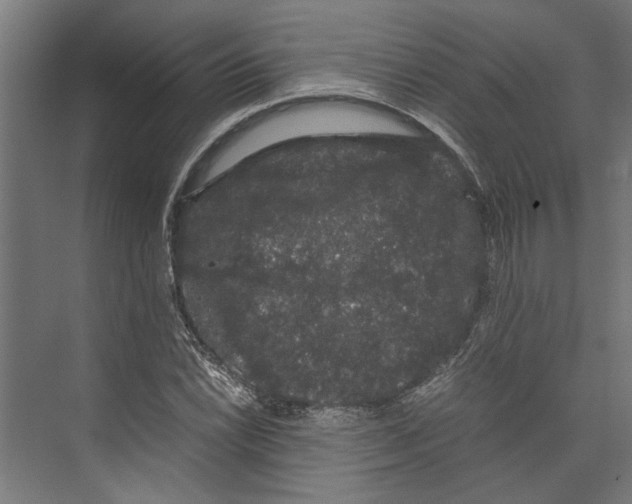 X0000071901022200608041337