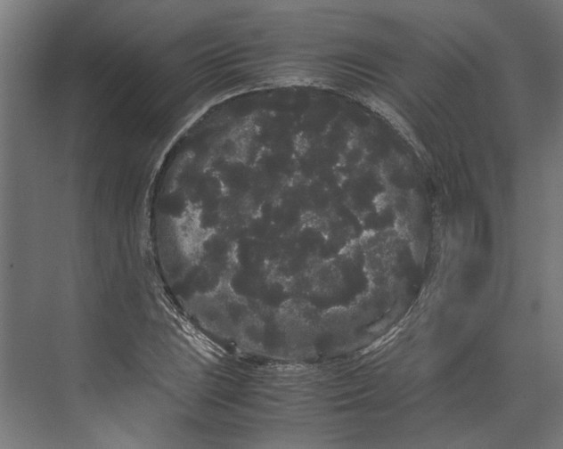 X0000071901023200608041337