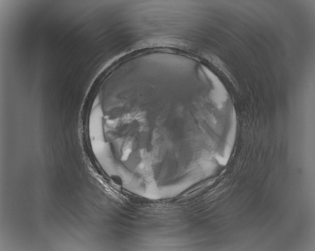 X0000071901024200608041337