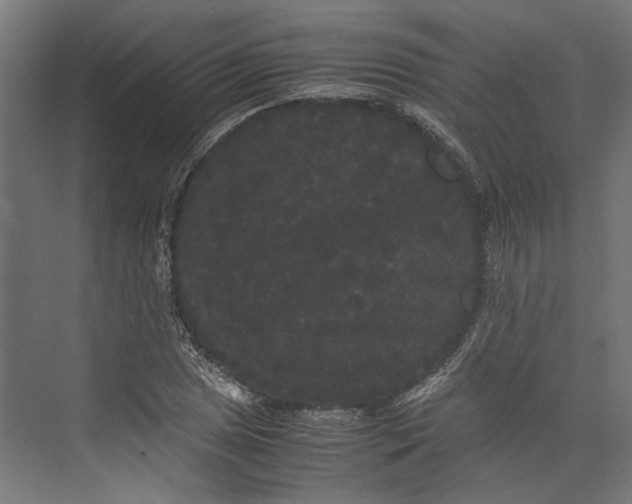 X0000071901025200608041337