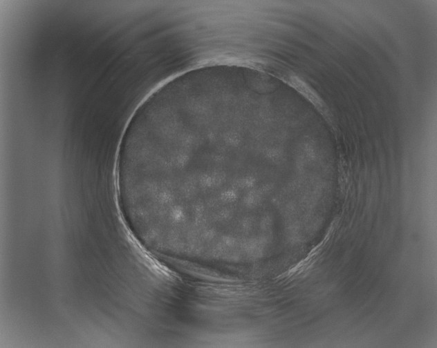 X0000071901028200608041337