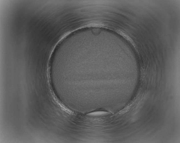 X0000071901029200608041337