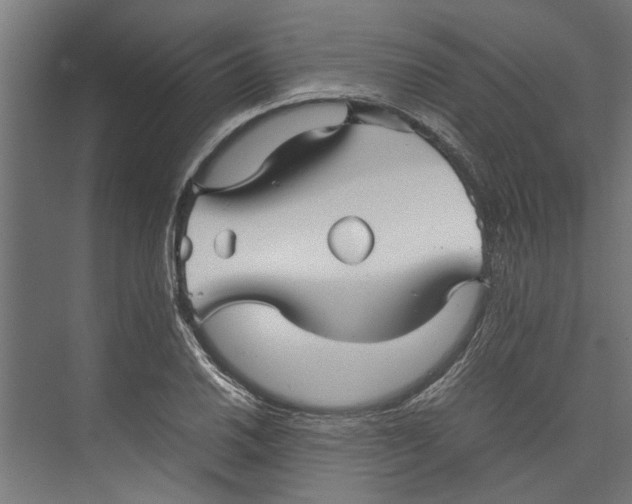 X0000071901030200608041337