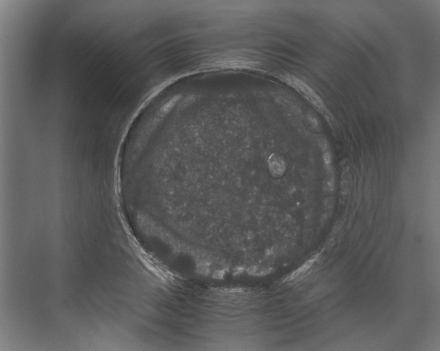 X0000071901031200608041337