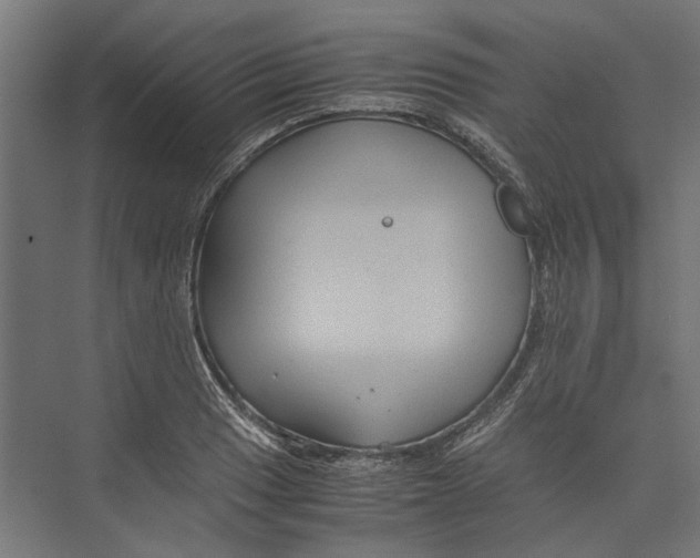 X0000071901033200608041337