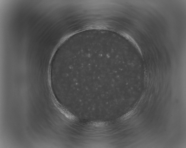 X0000071901035200608041337