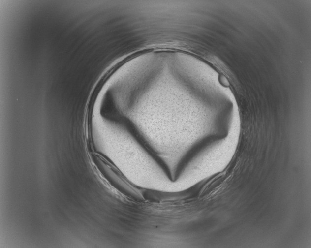 X0000071901036200608041337