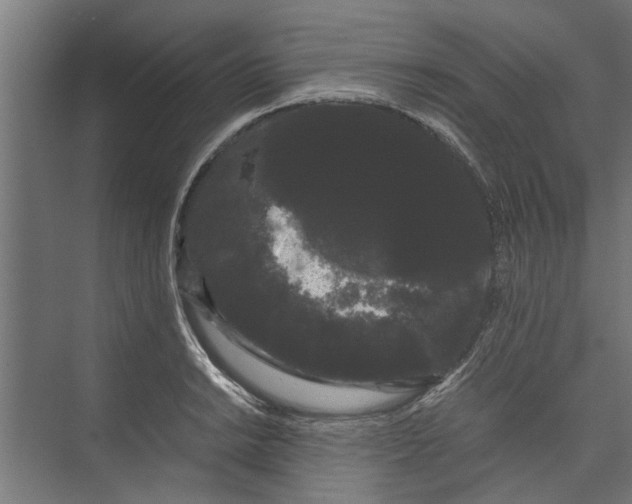 X0000071901038200608041337