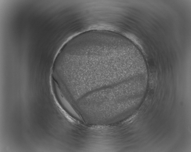 X0000071901040200608041338