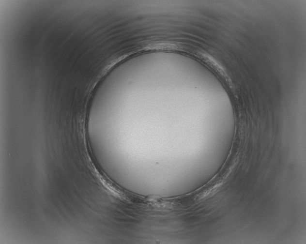 X0000071901041200608041338