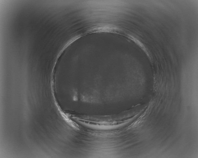 X0000071901042200608041338