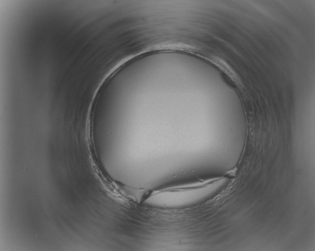 X0000071901044200608041338