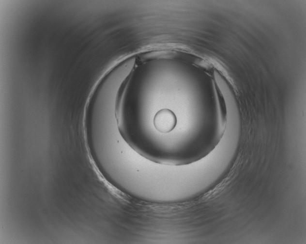 X0000071901046200608041338