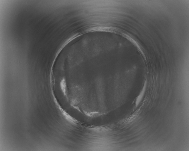 X0000071901050200608041338