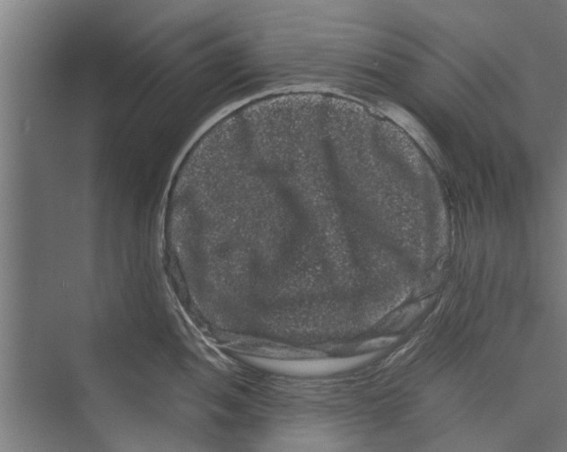 X0000071901052200608041338