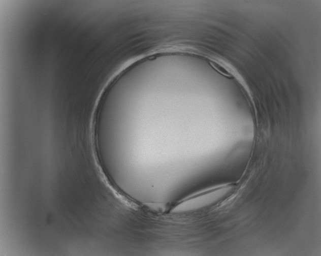 X0000071901053200608041338