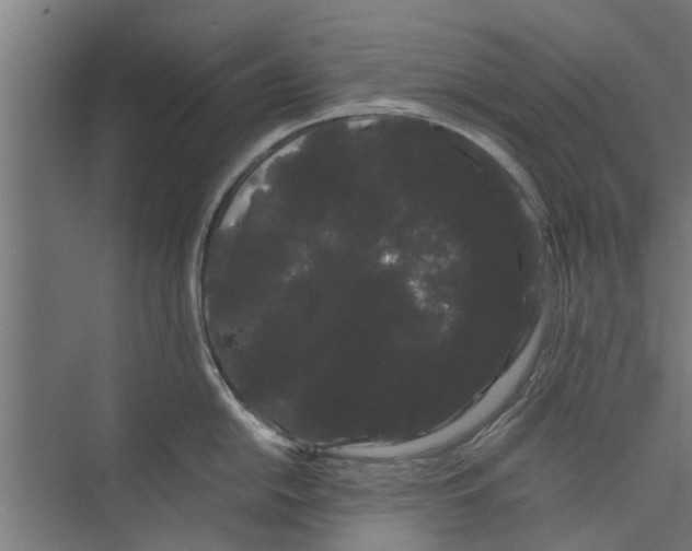 X0000071901054200608041338