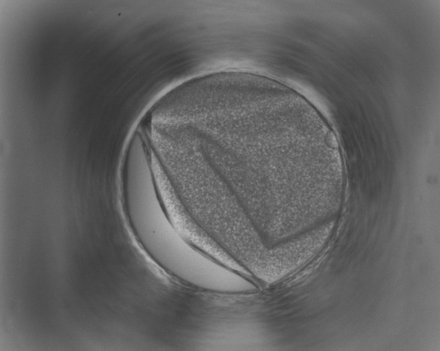 X0000071901056200608041338