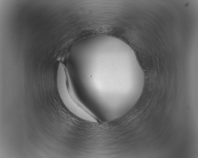 X0000071901058200608041337