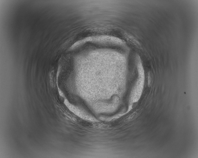 X0000071901059200608041337