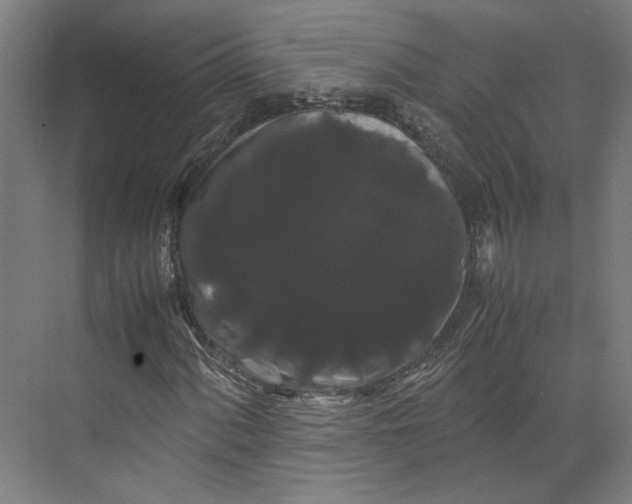 X0000071901060200608041337