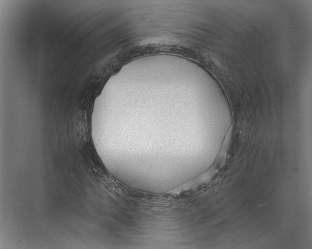 X0000071901062200608041337