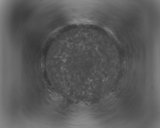 X0000071901063200608041337