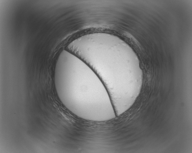 X0000071901064200608041337