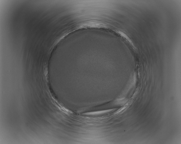 X0000071901065200608041337