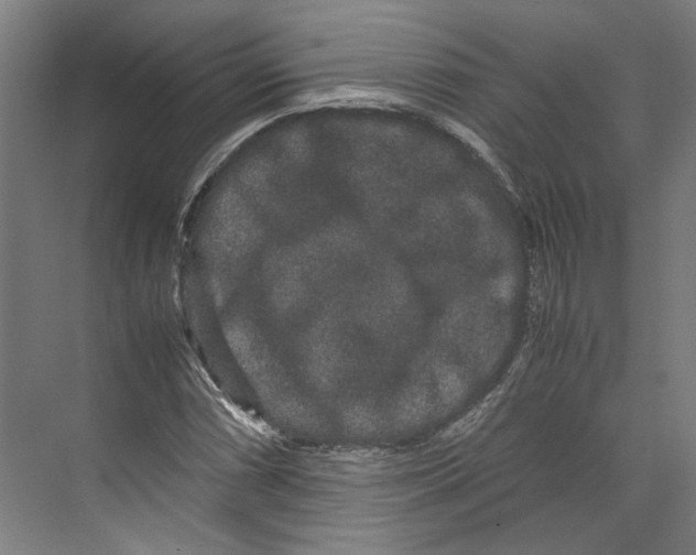 X0000071901066200608041337