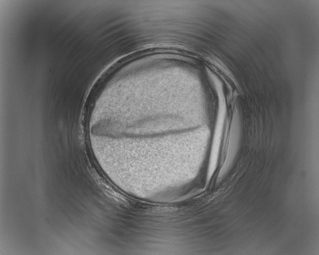 X0000071901068200608041337