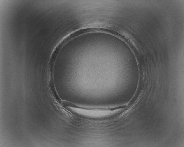 X0000071901069200608041337