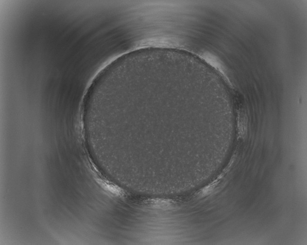 X0000071901070200608041337