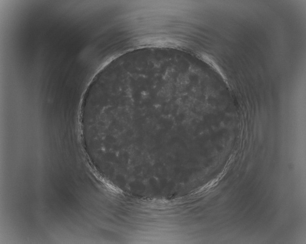 X0000071901071200608041337