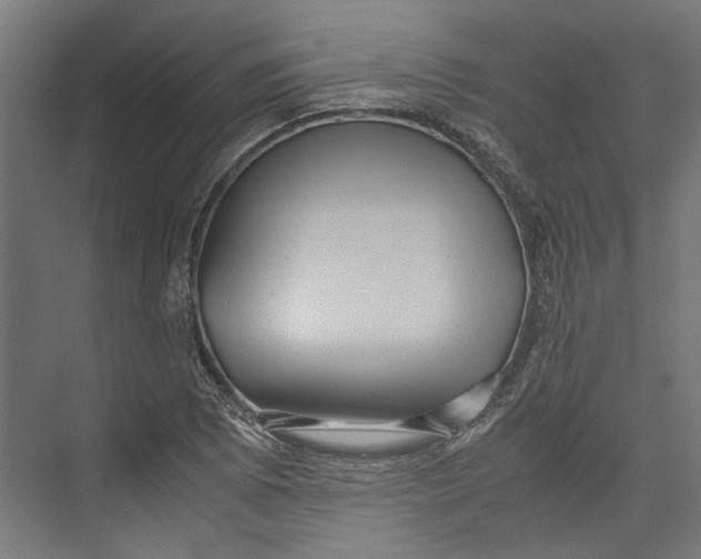 X0000071901073200608041337