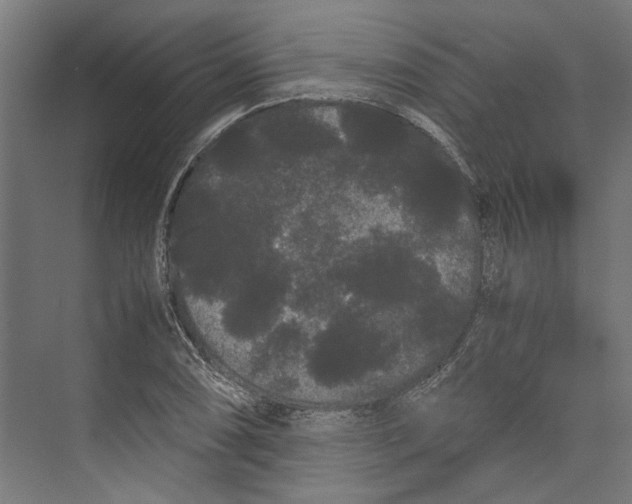 X0000071901074200608041337