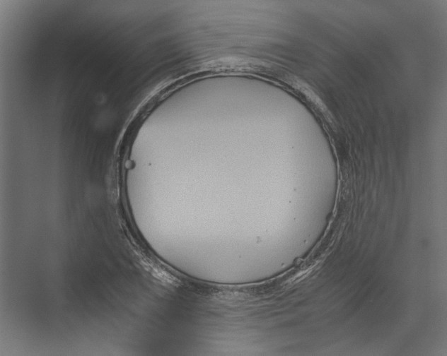 X0000071901075200608041337