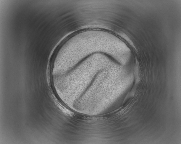 X0000071901076200608041337