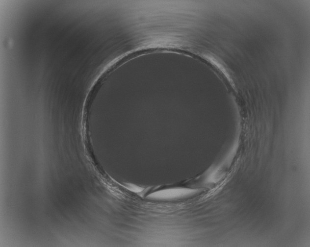 X0000071901077200608041337