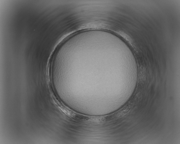 X0000071901078200608041337