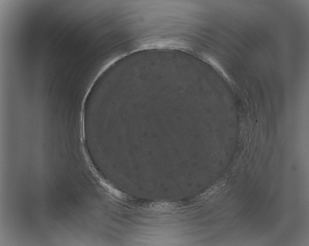 X0000071901079200608041337