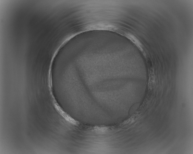 X0000071901080200608041337