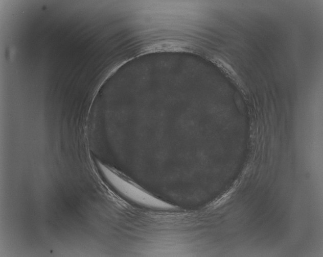 X0000071901081200608041337