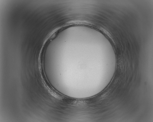 X0000071901082200608041337