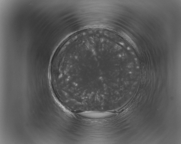 X0000071901084200608041337