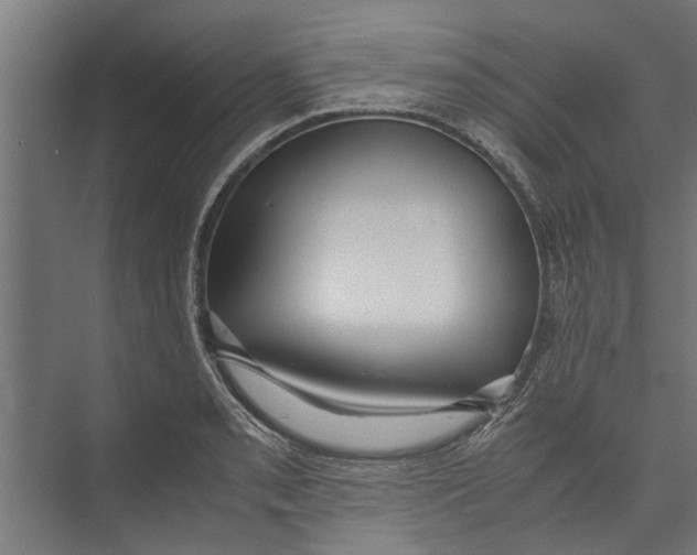 X0000071901085200608041336