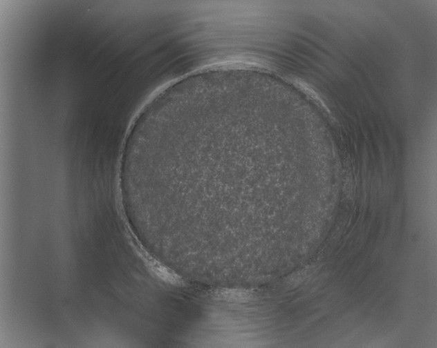 X0000071901086200608041336